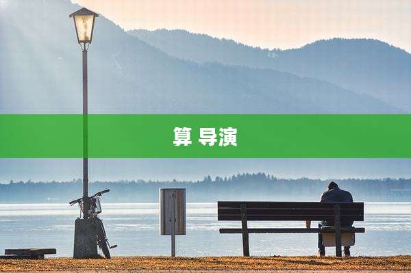 算 导演