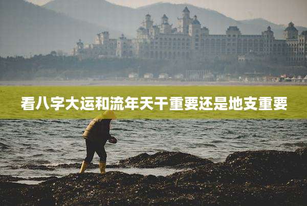 看八字大运和流年天干重要还是地支重要