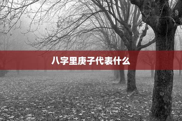 八字里庚子代表什么