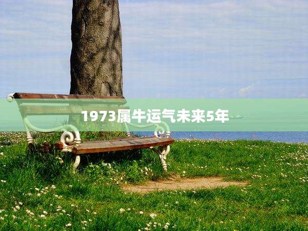 1973属牛运气未来5年
