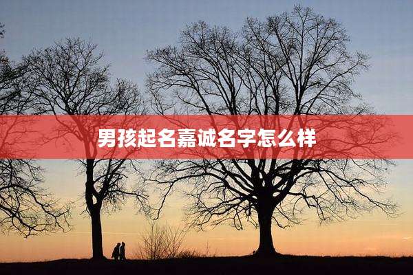 男孩起名嘉诚名字怎么样
