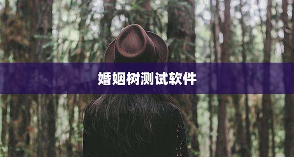 婚姻树测试软件
