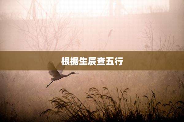 根据生辰查五行