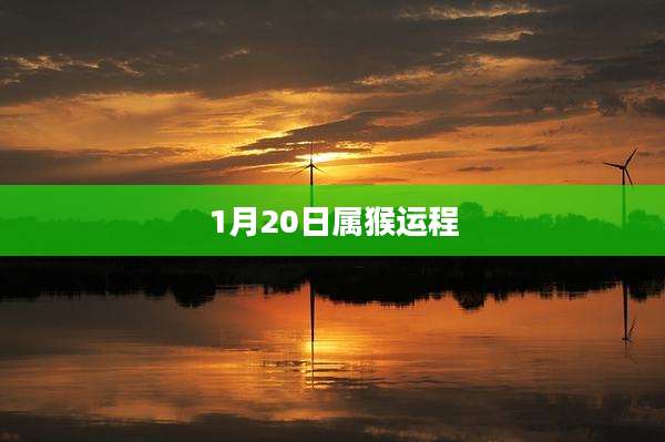 1月20日属猴运程