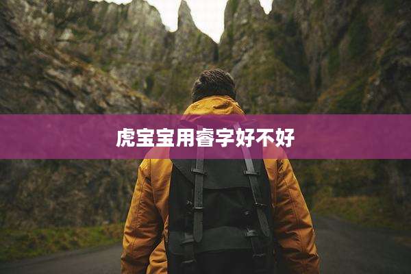 虎宝宝用睿字好不好
