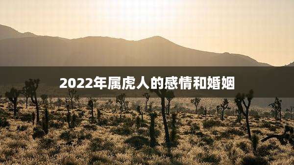 2022年属虎人的感情和婚姻