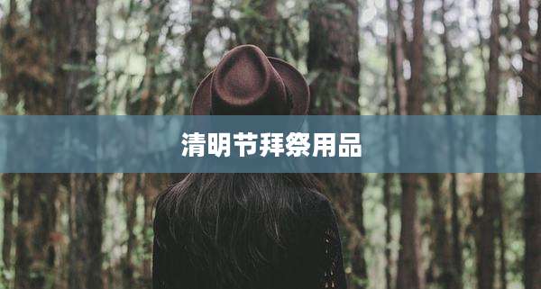 清明节拜祭用品