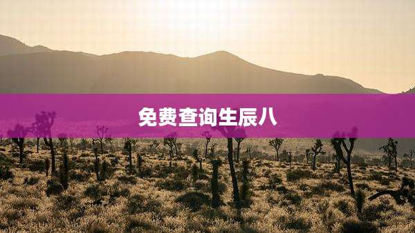 免费查询生辰八