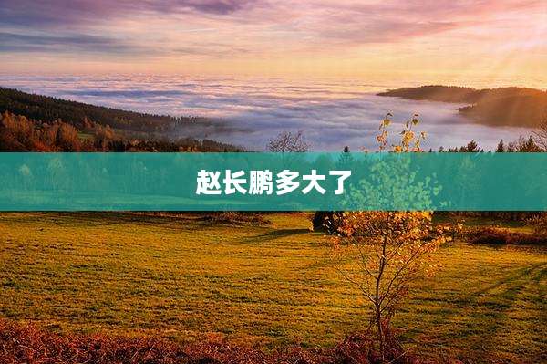 赵长鹏多大了