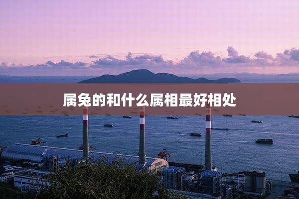 属兔的和什么属相最好相处