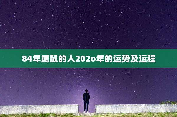 84年属鼠的人202o年的运势及运程