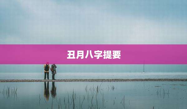 丑月八字提要