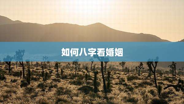 如何八字看婚姻