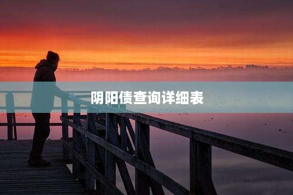 阴阳债查询详细表