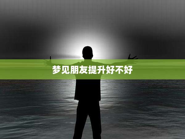 梦见朋友提升好不好