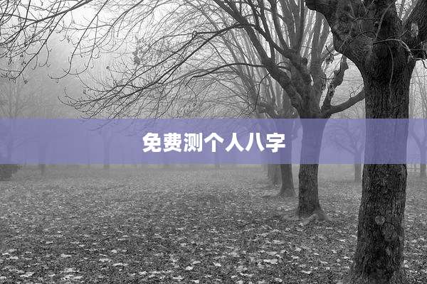 免费测个人八字
