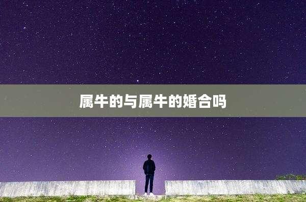 属牛的与属牛的婚合吗