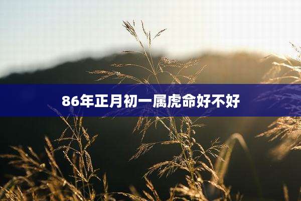 86年正月初一属虎命好不好