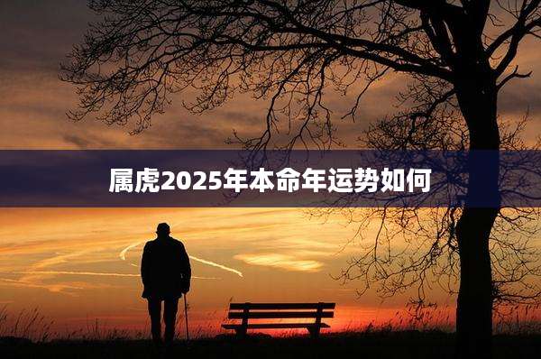 属虎2025年本命年运势如何