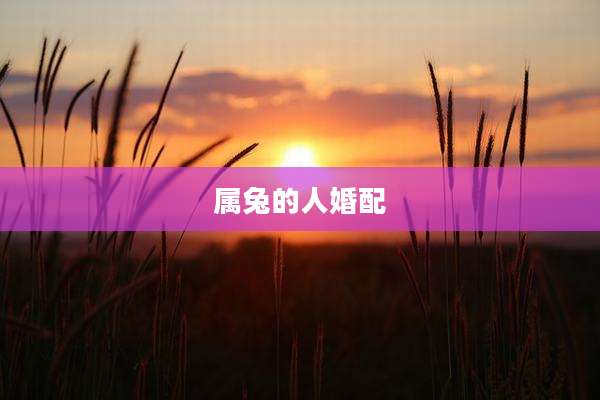 属兔的人婚配