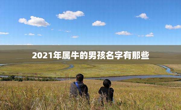 2021年属牛的男孩名字有那些