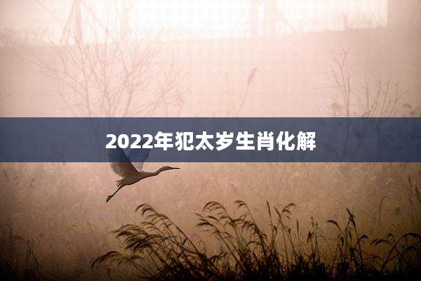 2022年犯太岁生肖化解