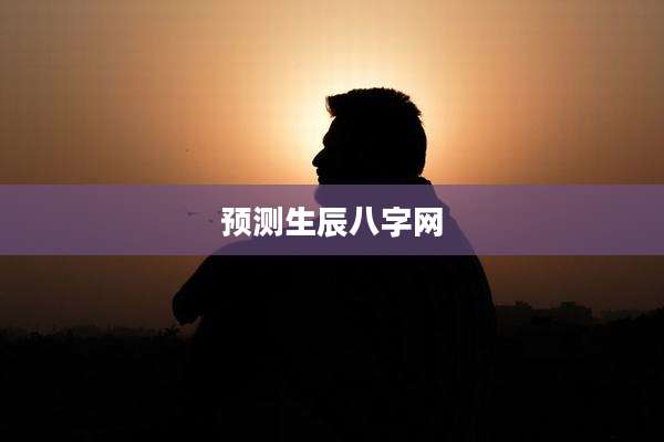 预测生辰八字网