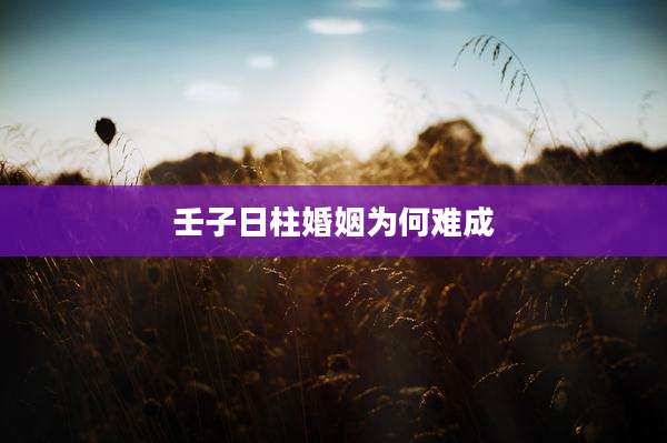 壬子日柱婚姻为何难成