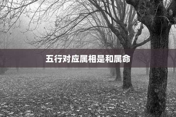 五行对应属相是和属命