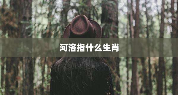 河洛指什么生肖