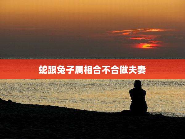 蛇跟兔子属相合不合做夫妻