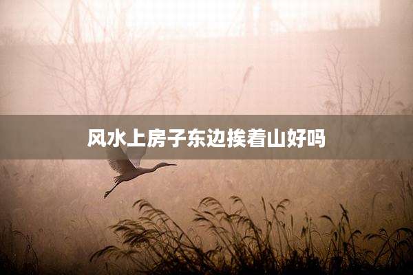 风水上房子东边挨着山好吗