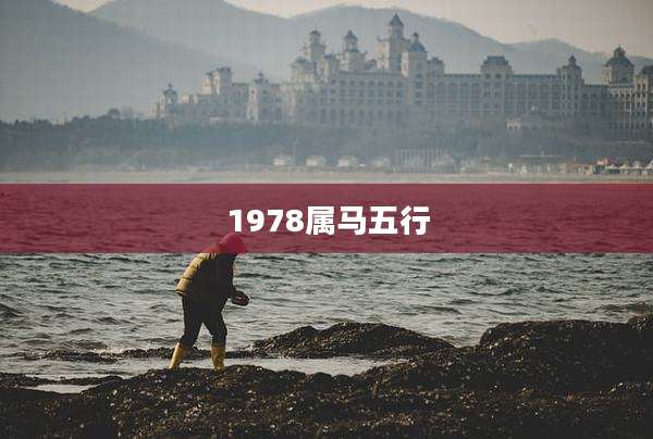 1978属马五行