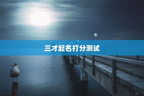 三才起名打分测试