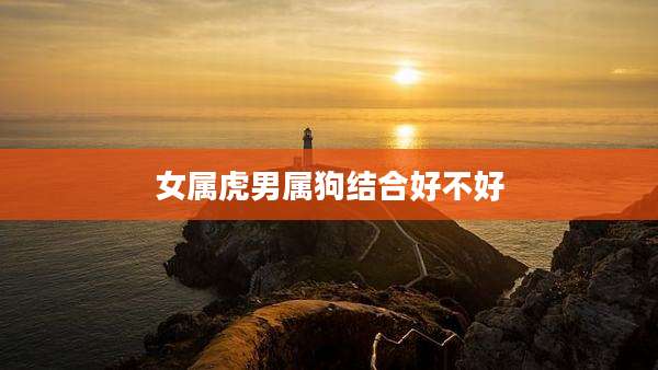 女属虎男属狗结合好不好