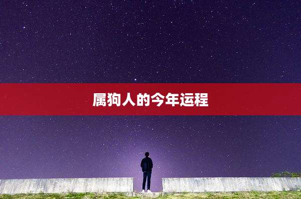 属狗人的今年运程