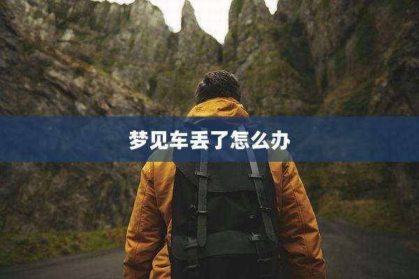 梦见车丢了怎么办