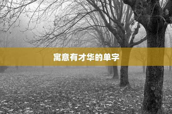 寓意有才华的单字