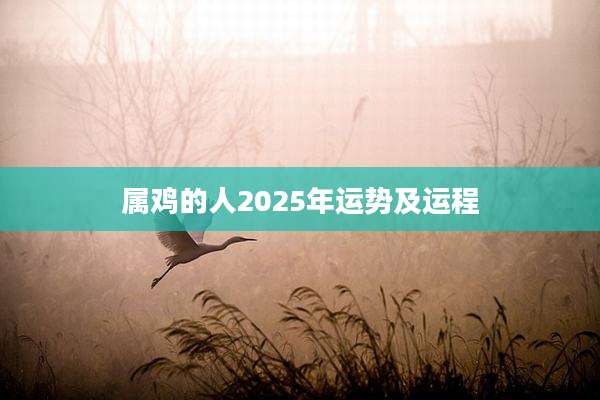 属鸡的人2025年运势及运程