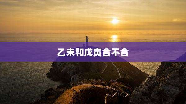 乙未和戊寅合不合
