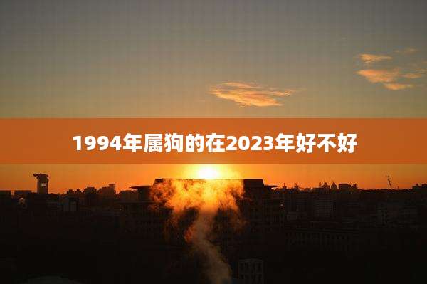 1994年属狗的在2023年好不好