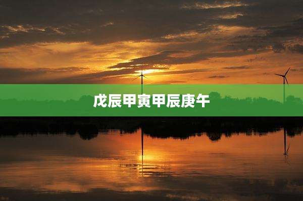 戊辰甲寅甲辰庚午