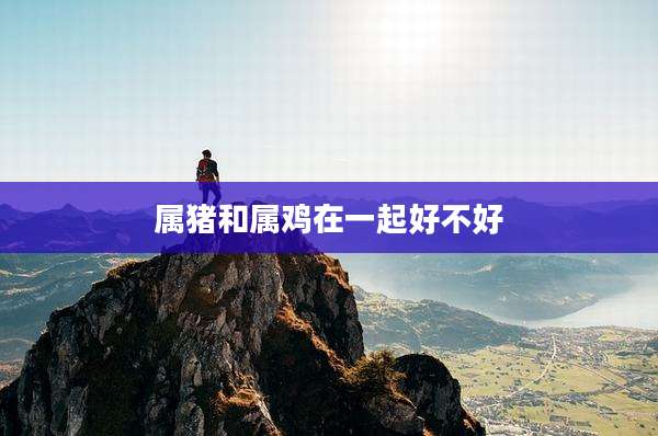 属猪和属鸡在一起好不好