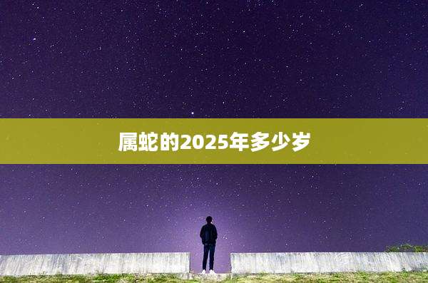 属蛇的2025年多少岁