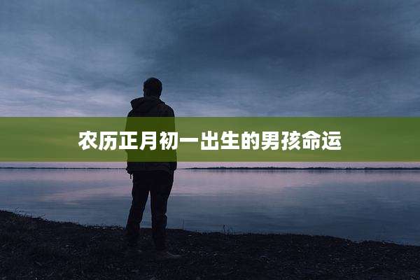 农历正月初一出生的男孩命运