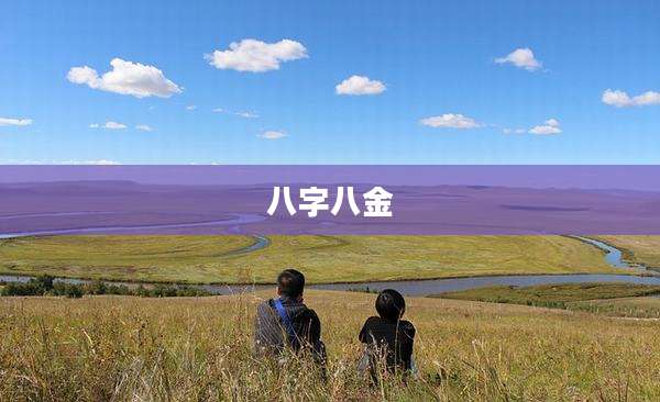 八字八金