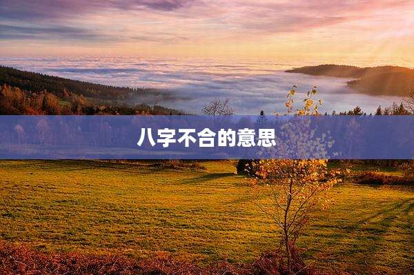 八字不合的意思