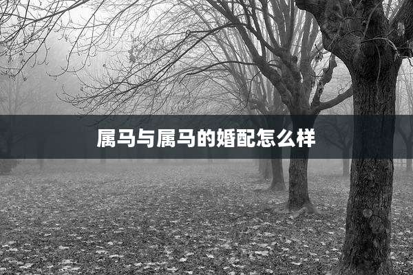 属马与属马的婚配怎么样