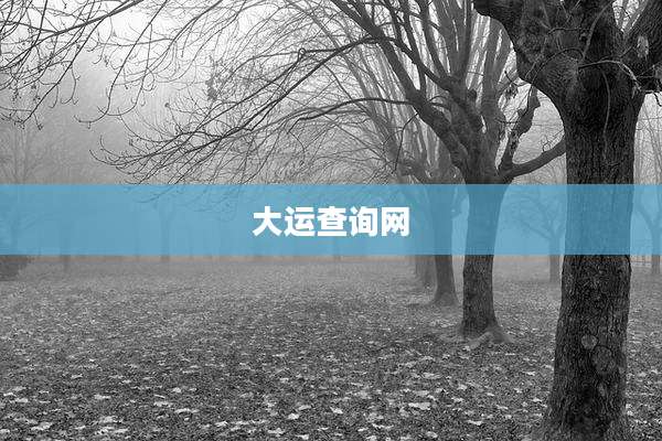 大运查询网