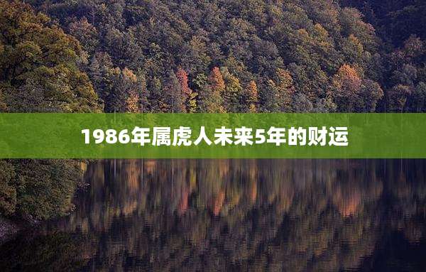 1986年属虎人未来5年的财运